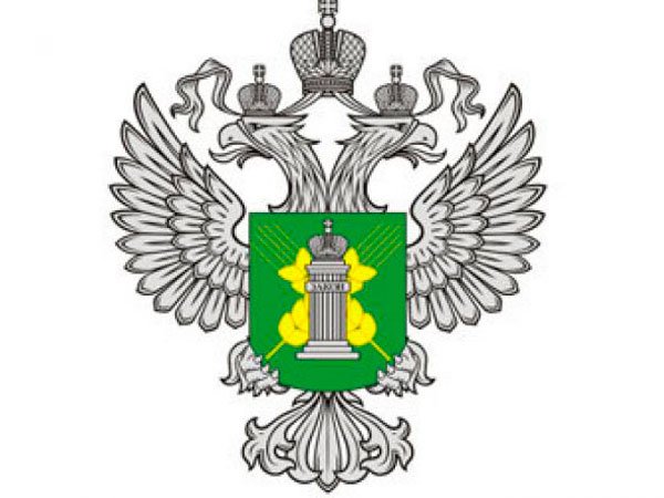 
В Саратов запрещено ввозить картофель из Египта