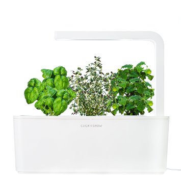 
Click and Grow разросся до Арабских Эмиратов
