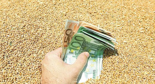 
Египет уценил российскую пшеницу