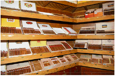 
Habanos  строит сигаретную фабрику в Касабланке